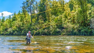 Fly Fishing for Big Backcountry Trout New Zealand [upl. by Saiff]