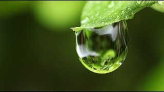 LA LLUVIA  Los secretos del planeta  Documental Planeta Tierra [upl. by Yddub]