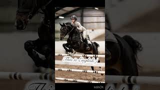 Enjoy non horsie people💖🤗🥰horse funny relatable fyp viralvideo [upl. by Atsahc]