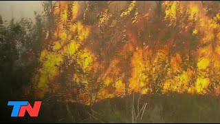 Los incendios de Corrientes fuego sin respiro y más de 780 mil hectáreas quemadas [upl. by Saref]