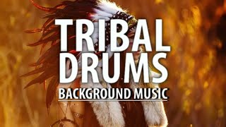 Tribal Drum Percussion Background Music  Cinematic Drums Music [upl. by Lenehc378]