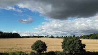 FIELD in LEDWELL  OXFORDSHIRE OX7 [upl. by Annaej]