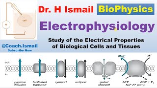 Electrophysiology Concepts Techniques and Applications Explained [upl. by Sirromed]