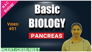 Pancreas  Basic Biology  Exams  NCERT  CBSE  ICSE [upl. by Zaremski]