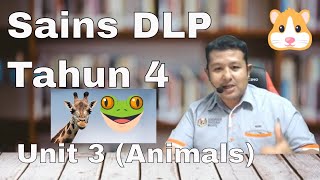 Science Year 4 DLP  Unit 3 Animals cikgootube sainstube [upl. by Eira]