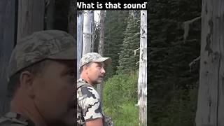 Creepy sounds in Idaho Woods Stuckntherut1 scary [upl. by Nnalorac]