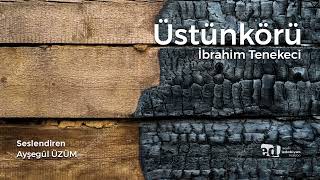 Üstünkörü  İbrahim Tenekeci [upl. by Ibson782]