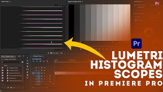 What information does the Lumetri histogram scope provide in premiere pro premierepro [upl. by Etnasa]