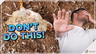 11 Ways To Accidentally Kill Your Chickens [upl. by Neeluj]