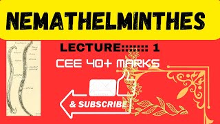 Phylum Nemathelmintheslecture 1 by best teacher and best notes [upl. by Merete]