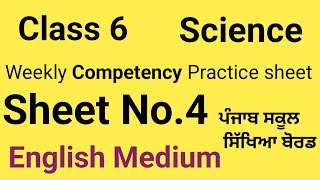 Class 6  Science  Weekly Competency Practice sheets Sheet No4 English MediumPSEB [upl. by Jeroma]