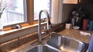 Moen Arbor 7594SRS Kitchen Faucet review [upl. by Nuajed804]