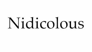 How to Pronounce Nidicolous [upl. by Nadaha304]