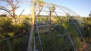 Cypress Valley Canopy Tours  The Nest Treehouse [upl. by Billye]