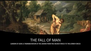 Session 2 The Fall of MAN [upl. by Beesley]