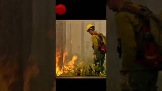 quotBurning the Forest to Protect It – The Firefighters Strategyquot facts ytshorts [upl. by Kylander]