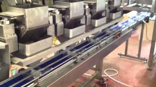 Automated Cherry Tomato Packing Line [upl. by Eecal430]