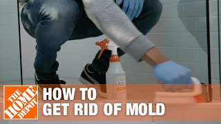 How to Get Rid of Mold  The Home Depot [upl. by Stephani240]