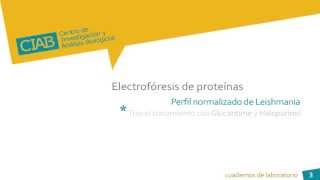 Electroforesis de proteínas normalizado de Leishmania CIAb wwwciabes [upl. by Ahsenor153]