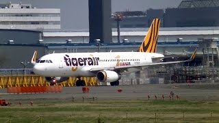 ✈Tiger Air A320 B50001 takeoff Narita Airport rwy16R成田空港台湾タイガーエアー [upl. by Romonda445]