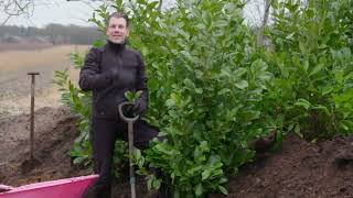 Aflevering 13  De Grote Tuinverbouwing  We Gaan weer verder met de tuinkamer [upl. by Eesdnil]