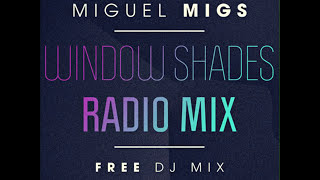 Miguel Migs ♫ Window Shades Radio Mix ♫ Salted Music [upl. by Ainoet457]