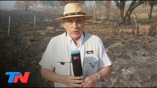 Corrientes bajo fuego implacables los incendios ya quemaron más de 335000 hectáreas [upl. by Alesandrini]