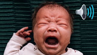 Baby Crying Sound Effect 1 Hour Loud Cry [upl. by Naut]