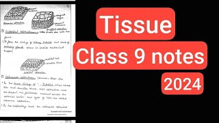 TISSUE CLASS 9 NOTES 2024 CLASS 9 NOTES CHAPTER 3 TISSUE BIOLOGY NOTES OF TISSUE CLASS 9 [upl. by Esyli]