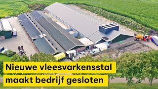 Nieuwe vleesvarkensstal in Collendoorn maakt bedrijf gesloten [upl. by Niawat]