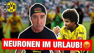 Wenig Synapsen im Nordmende Helm  Gladbach  Borussia Dortmund 12 🖤💛 [upl. by Gipson696]