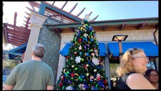 Christmas Trees at Disney Springs 2023 then Skyline chili shot on phone [upl. by Jago]