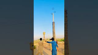 quotI Tried to Hit the Pole with a Tyre – Did It Work  shorts youtubeshorts viralvideo [upl. by Aysab]