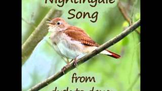 nightingale song part two [upl. by Suolhcin331]