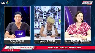 VETERİNER HEKİMİM amp Orhan ÖZBABA amp Merve ÖZBABA AKİNGİRAY amp HAYTAP Başkanı Nesrin ÇITIRIK 3 [upl. by Eibreh]