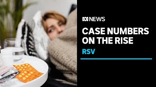 Respiratory syncytial virus RSV cases close to 10 times higher in some states  ABC News [upl. by Gibby]