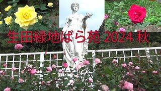 【生田緑地ばら苑】2024年10月19日～11月17日【11月6日秋バラ見頃】全国都市緑化かわさきフェア【神奈川観光デートスポット】小田急線向ヶ丘遊園駅南口下車。神奈川県川崎市多摩区 [upl. by Ttsepmet]