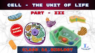 Cell  The Unit Of Life  PART  III class 11 Biology  NCERT  COHSEM  CBSE [upl. by Sailesh]