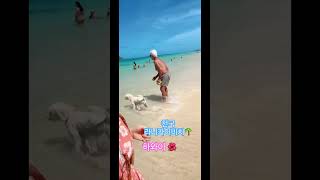 Lanikai beach hawaii 🌸하와이라이프 카일루아 하와이브이로그travel [upl. by Ahseyn]