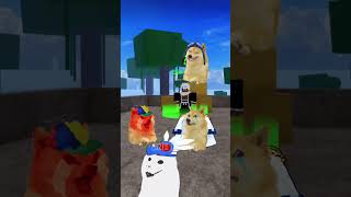 Doge got help from admin🥰 doge roblox bloxfruits [upl. by Htebiram]