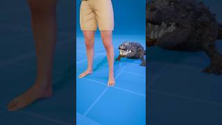 How To Escape An Alligator Death Roll 😨  Melon Playground alligator [upl. by Geehan]