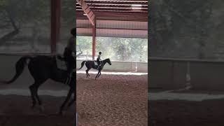 Riding Zeus neck roping pony equestrian subscribete horse horsegirl horseriding [upl. by Backer69]