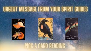 Urgent Messages From Your Spirit Guides 🕊 Pick a Card Reading [upl. by Corvese]