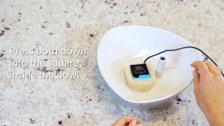 How to assemble your PetSafe Streamside Ceramic Pet Fountain [upl. by Ikkin377]