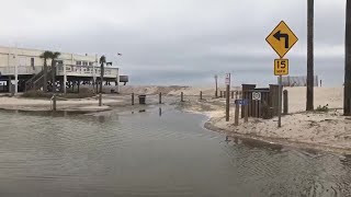 Edisto Flooding [upl. by Ahtelra602]