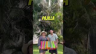 Palabras Mexicanas 🇲🇽vs palabras Hondureñas 🇭🇳 foryou shorts [upl. by Yedarb]