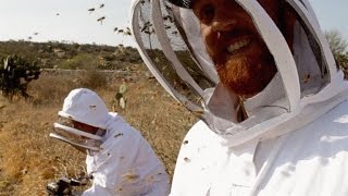 A Film Crew Unleashes 40000 Killer Bees on Itself [upl. by Bellda]