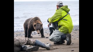 Bears at Lake Clark NP Silver Salmon Creek Alaska Sept 2024 [upl. by Harsho]