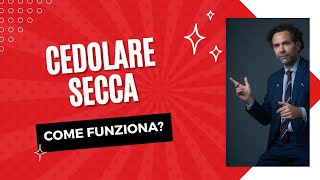 Cedolare Secca Come Funziona [upl. by Juno]