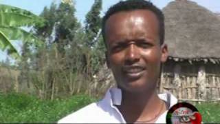 Gurage Ethiopian Traditional Music [upl. by Nale]